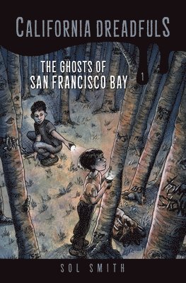 The Ghosts of San Francisco Bay 1