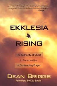 bokomslag Ekklesia Rising