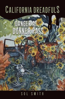 bokomslag Danger at Donner Pass