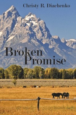 Broken Promise 1