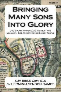 bokomslag Bringing Many Sons Into Glory: God's Plan Truth and Instructions