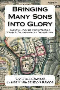 Herminia Ramos - Bringing Many Sons Into Glory: God's Plan Truth and Instructions, Häftad