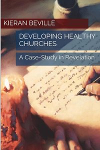 bokomslag Developing Healthy Churches