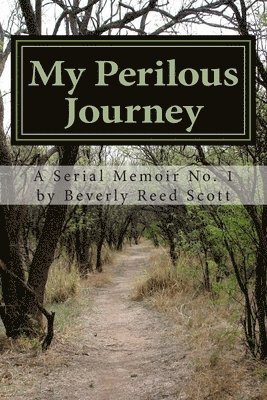 My Perilous Journey 1