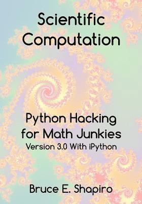 bokomslag Scientific Computation: Python Hacking for Math Junkies