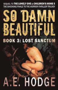 bokomslag So Damn Beautiful: Lost Sanctum