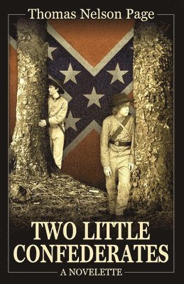 bokomslag Two Little Confederates