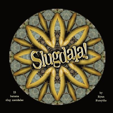 Ryan Forsythe - Slugdala!: 13 Banana Slug Mandalas, Häftad