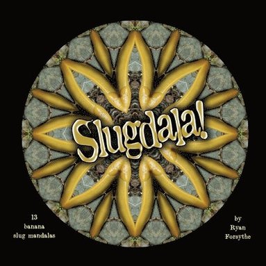 bokomslag Slugdala!: 13 Banana Slug Mandalas