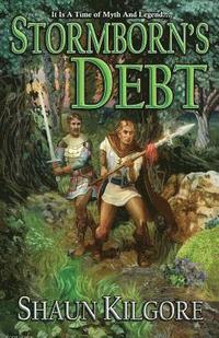bokomslag Stormborn's Debt