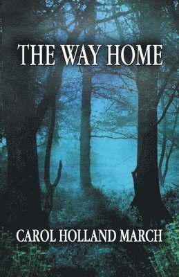 bokomslag The Way Home: Fantastic Stories of Love and Longing