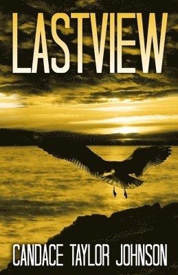 Lastview 1