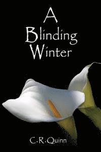 bokomslag A Blinding Winter