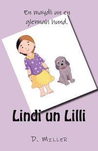 bokomslag Lindi un Lilli