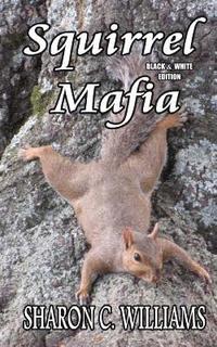 bokomslag Squirrel Mafia: Black & White Edition