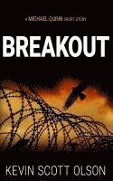 bokomslag Breakout: A Michael Quinn Short Story