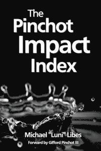 The Pinchot Impact Index: Measuring, Comparing, and Aggregating Impact 1