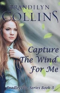 Capture The Wind For Me