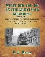 bokomslag What Did You Do In The Great War Grandpa?: The Story of the 749th Tank Battalion in World War II