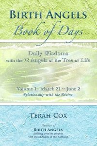 bokomslag BIRTH ANGELS BOOK OF DAYS - Volume 1