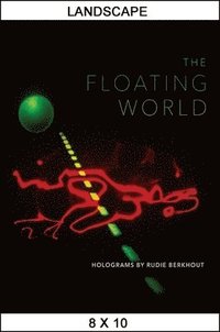 bokomslag The Floating World