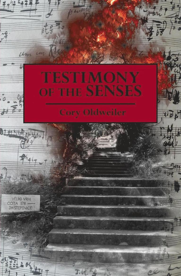 Cory Oldweiler - Testimony of the Senses, Häftad