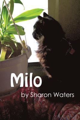 Milo 1