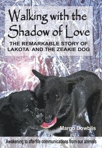 bokomslag Walking with the Shadow of Love