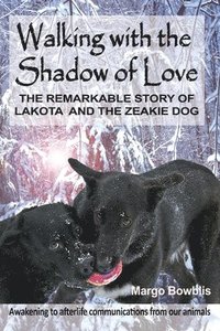 bokomslag Walking with the Shadow of Love