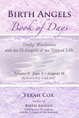 bokomslag BIRTH ANGELS BOOK OF DAYS - Volume 2