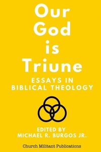 bokomslag Our God is Triune: Essays in Biblical Theology
