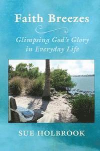 bokomslag Faith Breezes: Glimpsing God's Glory in Everyday Life