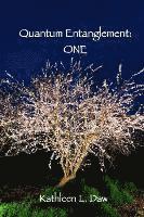 bokomslag Quantum Entanglement: One