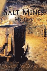 bokomslag The Salt Mines Mystery