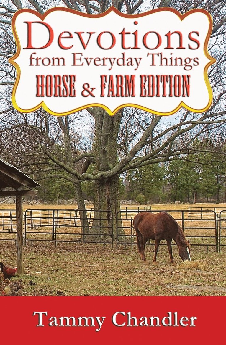 Tammy Chandler - Devotions from Everyday Things, Häftad