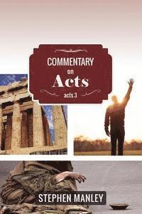 bokomslag Commentary on Acts 3