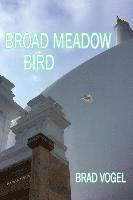 bokomslag Broad Meadow Bird: 15 years of poetry
