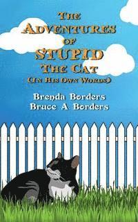 bokomslag The Adventures Of Stupid The Cat