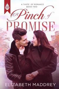 bokomslag A Pinch of Promise