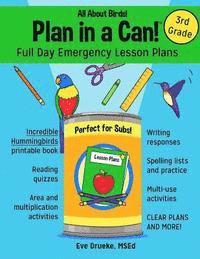 Eve Drueke - Plan in a Can! Full Day Emergency Lesson Plans for 3rd Grade: All About Birds!, Häftad