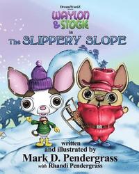 bokomslag The Slippery Slope