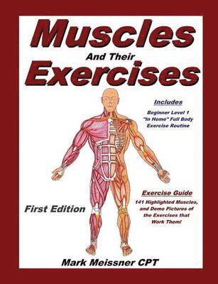 Muscles And Their Exercises 1