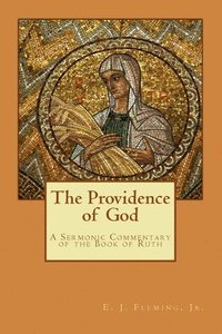 bokomslag Providence of God