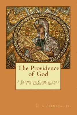 bokomslag Providence of God
