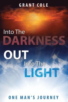 bokomslag Into The Darkness Out Into The Light: One Man's Journey