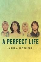 A Perfect Life 1
