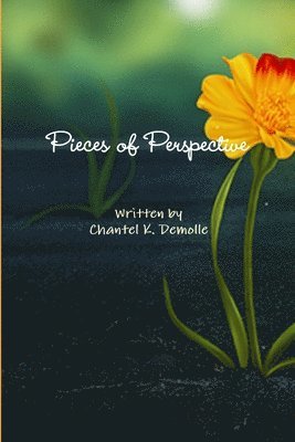 Chantel K Demolle, Chantel K. Demolle - Pieces of Perspective, Häftad