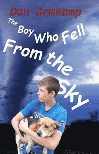 bokomslag The Boy Who Fell From the Sky