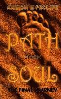 bokomslag Path of the Soul: The Final Journey