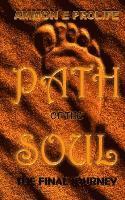 Path of the Soul: The Final Journey 1